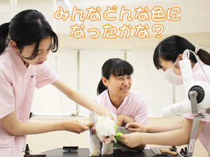 動物看護科のカラーリング実習♪